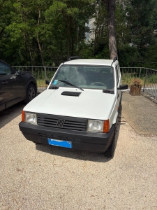 FIAT PANDA 4X4 GPL ANNO 2001
